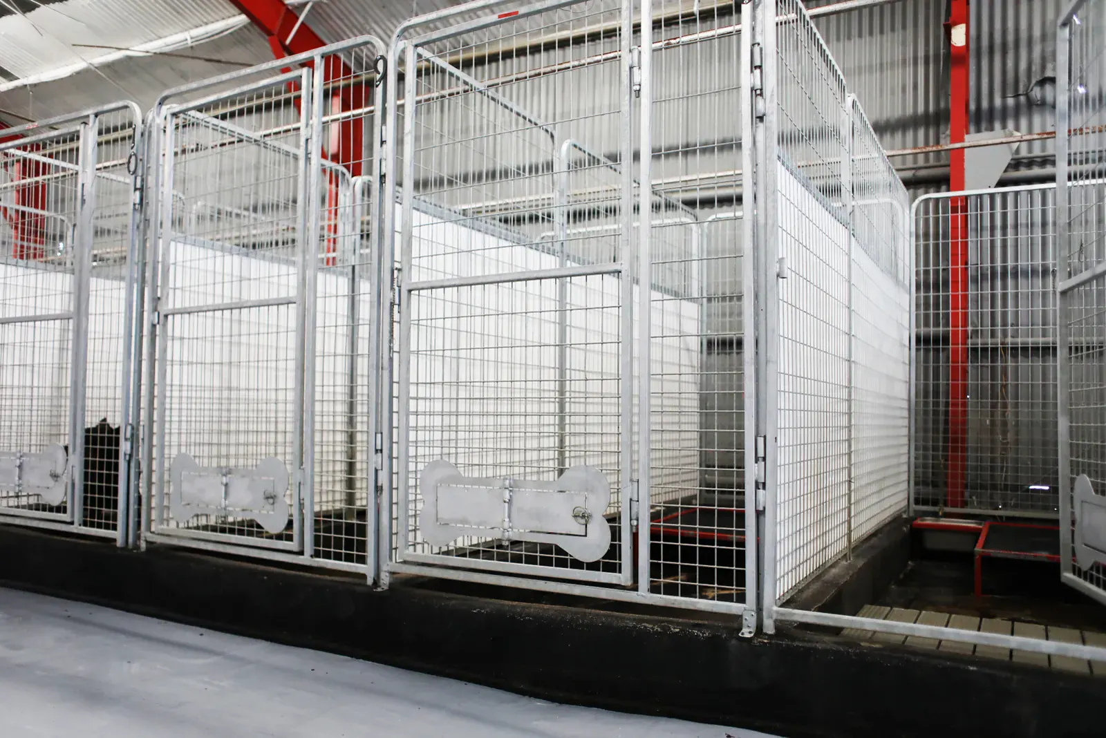 Deluxe Room, 4×10 kennel